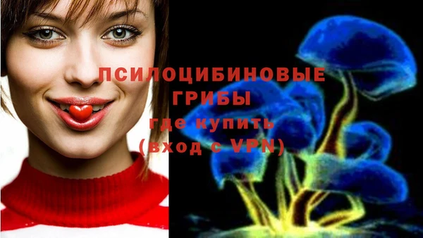 не бодяженный Каменногорск
