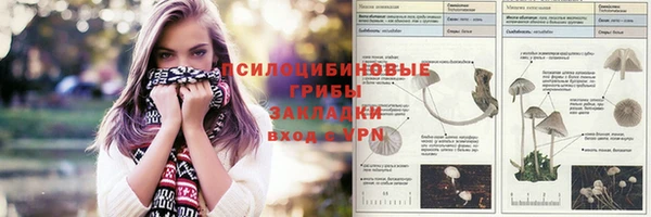 прущий лед Каменка