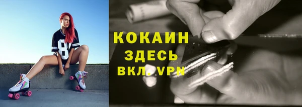 прущий лед Каменка