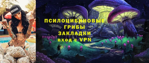 не бодяженный Каменногорск