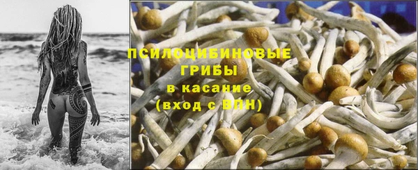 прущий лед Каменка