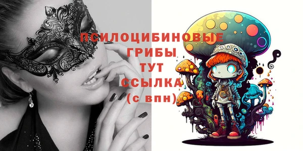 прущий лед Каменка