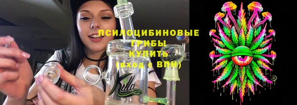 прущий лед Каменка