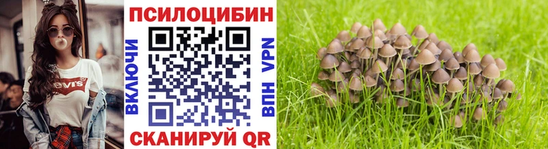 Купить где  Звенигово  Галлюциногенные грибы прущие грибы 