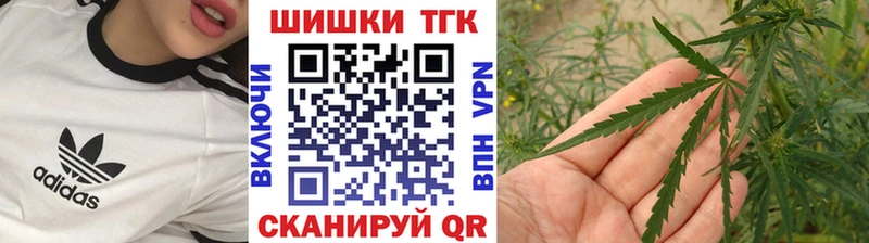 Купить закладки  Звенигово  Канабис тримм 